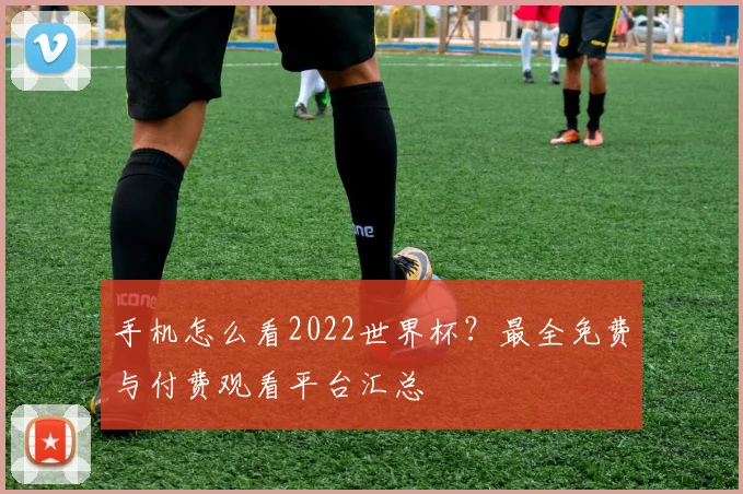 手机怎么看2022世界杯?最全免费与付费观看平台汇总