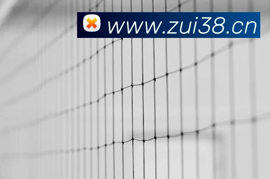 2026世界杯官网入口APP 体育赛事宣传图